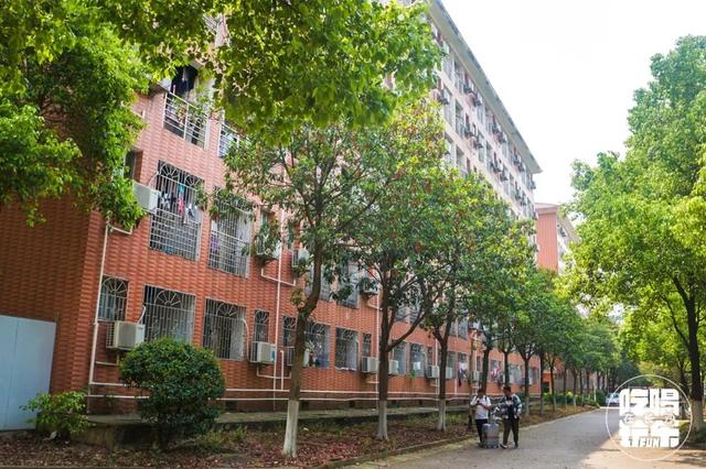 民政学院好吗，民政学院本科专业（民政学院：在大长沙）