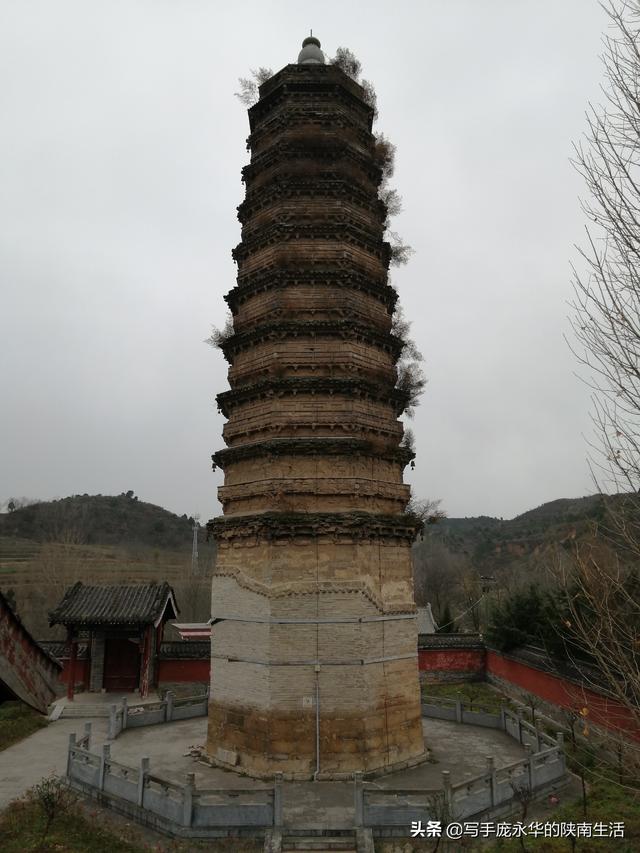 蔡伦墓张骞墓均位于哪里，武侯墓蔡伦墓张骞墓均位于什么地方（我游览陕甘100处古迹）