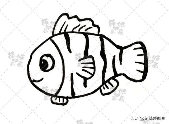 海洋生物简笔画，海洋生物简笔画图片（学画可爱的海洋生物简笔画）