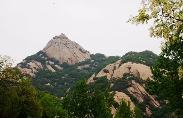 驻马店景区有哪些景点，驻马店景区有哪些景点推荐（这些别具一格的景点给你不一般的旅行体验）