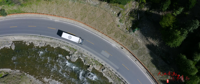 松茸怎么保存，松茸怎么保存冰箱（家有松茸，怎么保存）