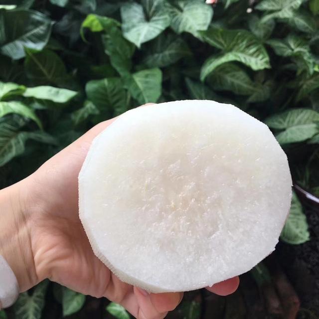 雪梨常温下能保存多久，雪梨常温能放多久（95%人会搞混品种）