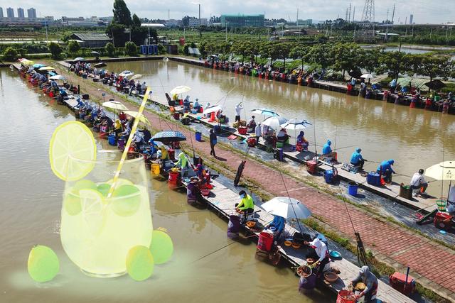 果酸是什么，果酸是什么哪里有卖（钓鱼果酸的分类和作用详解）