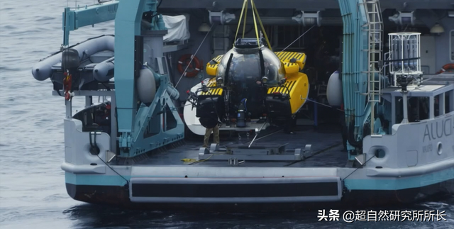 海底最深处的生物，10000米恐怖深海鱼（南极深处真的存在巨大的生物吗）