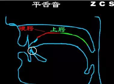 平翘舌不分怎么办，普通话平翘舌音不分怎么办（如何训练平翘舌读音）