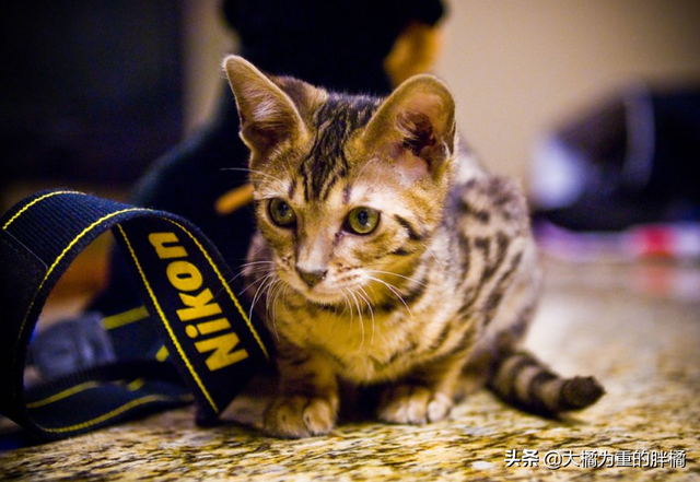 得了艾滋一辈子完了吗，感染艾滋病的一生就完了（多注意这些小细节）