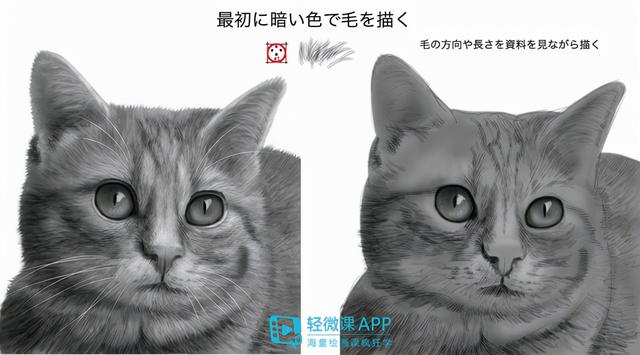 7步教你学会画老虎，7步教你学会画老虎视频（动物简单画法技巧）