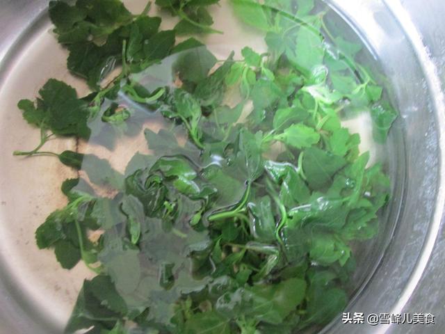 灰灰菜怎么吃，春天这菜路边就有（灰灰菜能吃吗）