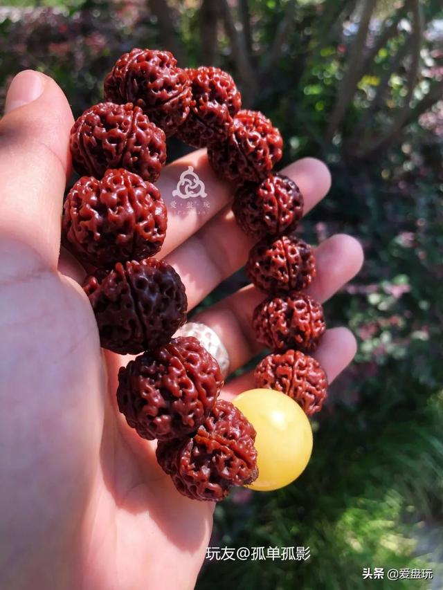 野桃核手串最忌讳，野生小核桃手串（冬天要来了，盘什么串最靠谱）