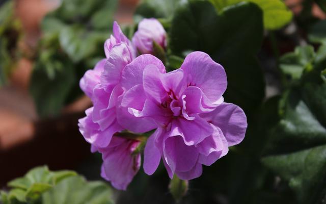 双子座内心好恐怖，双子座狠起来很可怕（当双子座冷下来，会很恐怖）