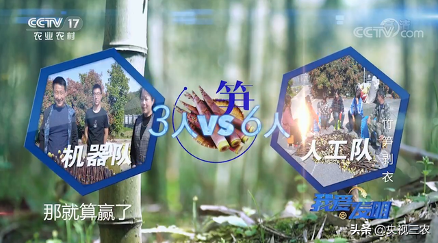 竹笋怎么剥皮，新鲜竹笋怎么剥皮详细图解（有了“王万能”发明的神器）