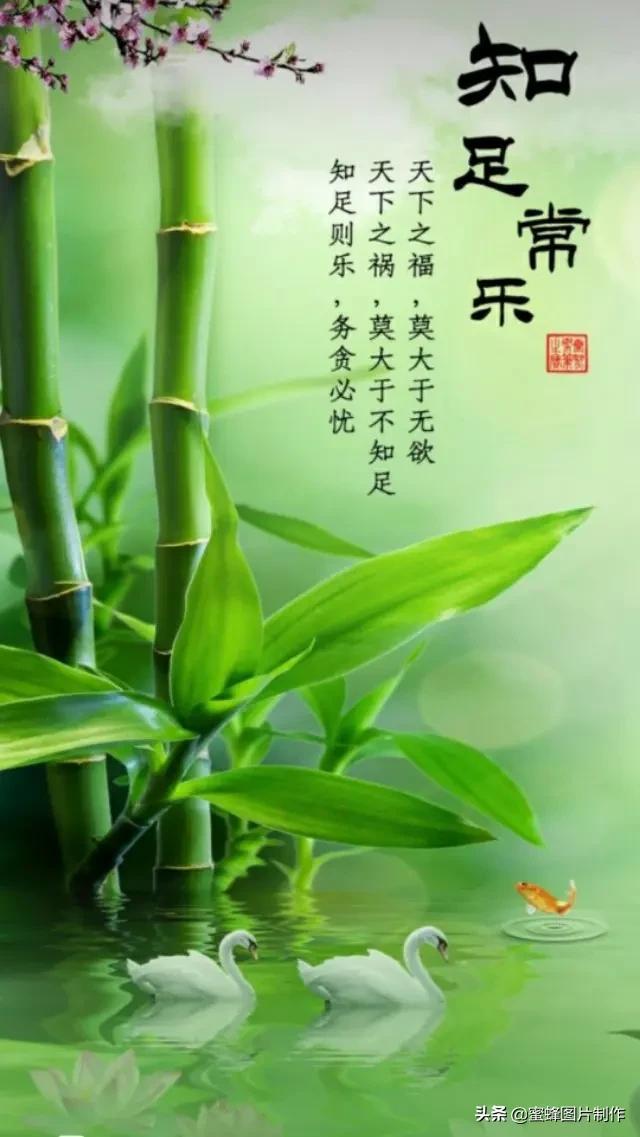 超养眼的手机壁纸,漂亮养眼的手机屏幕壁纸(手机壁纸,养眼护眼舒心