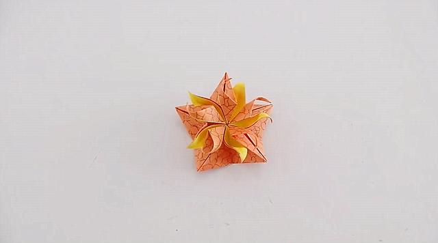 怎么用折星星的纸做其他东西，DIY五角星纸花的方法