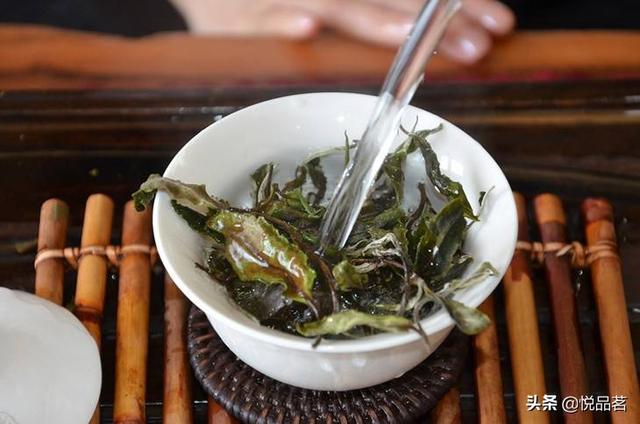 什么茶属于白牡丹，白牡丹属于啥茶（白牡丹是红茶还是绿茶）