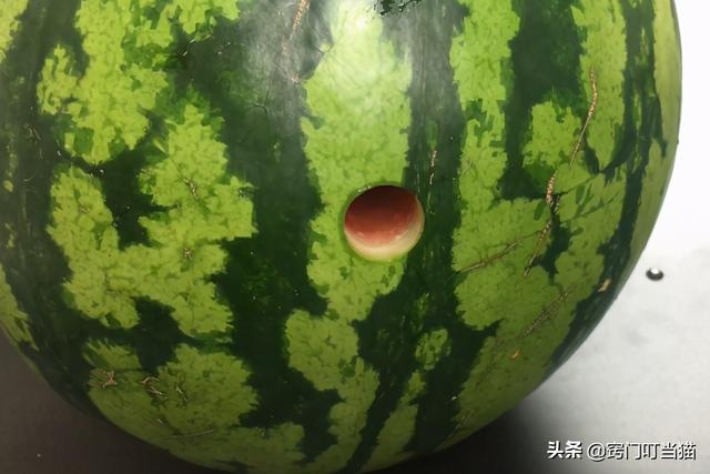 西瓜汁怎么做好喝，番茄汁怎么榨好喝（教你1分钟榨出原汁原味的西瓜汁）