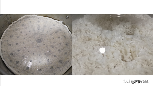 米酒怎么做，米酒的制作方法（米酒怎么做才能出酒）