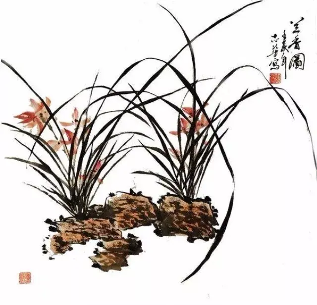 梅兰竹菊四君子，四君子梅兰竹菊的象征意义（梅兰竹菊  四君子）