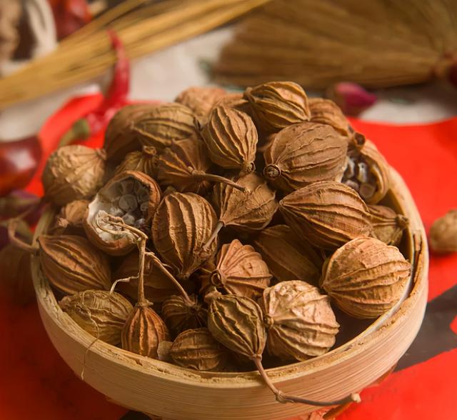 砂仁的功效与作用，砂仁的功效与作用图片（阳春砂仁，煲一碗汤，化湿健脾）