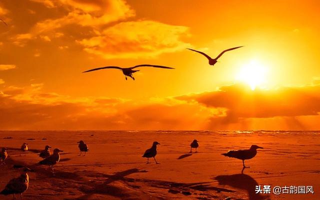 庄稼一枝花的下一句，庄稼一枝花的下一句怎么说（《学生谚语》，读后涨知识）