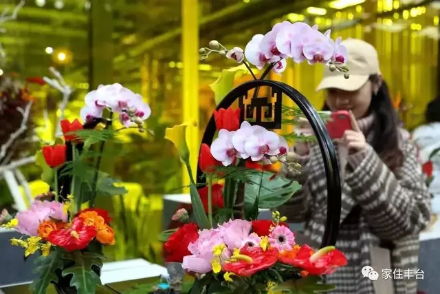 北京四大花市，丰台四大花市逛买攻略