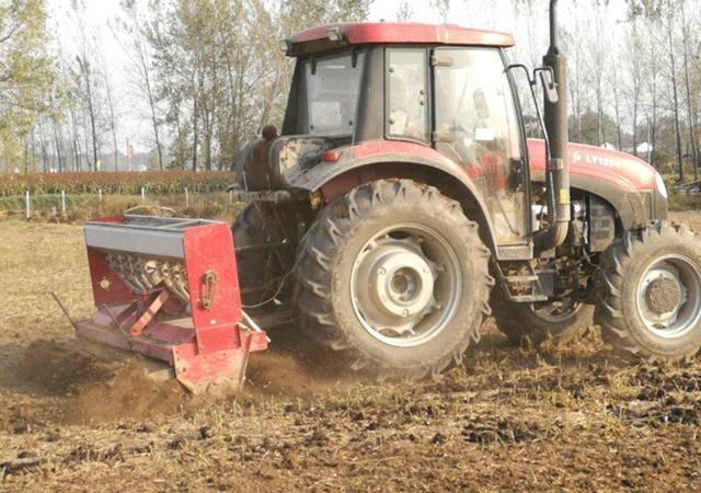 河北小麦种植时间，河北小麦种植时间和方法（小麦播种过早过晚都不好）