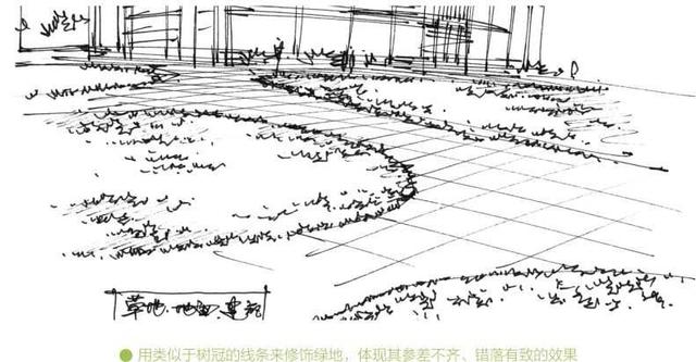 超简单风景速写入门初学者，适合初学者学习的速写中植物配景的画法图解教程