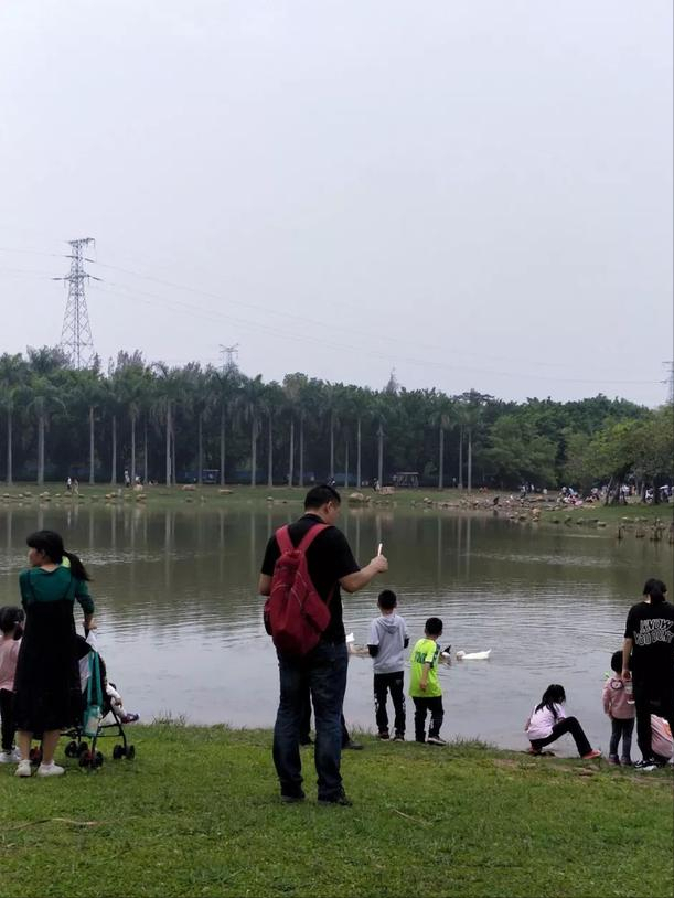 深圳4a景区海上田园，坐标深圳 亲子游记-海上田园