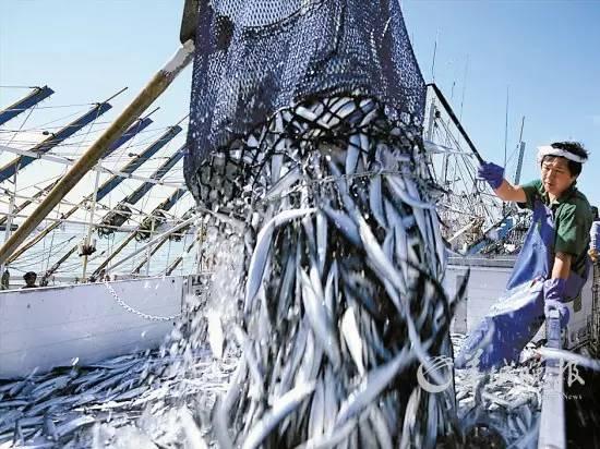 秘鲁渔场位置，秘鲁渔场形成原因是寒暖流交汇吗（是什么让世界超级大渔场变得死寂）