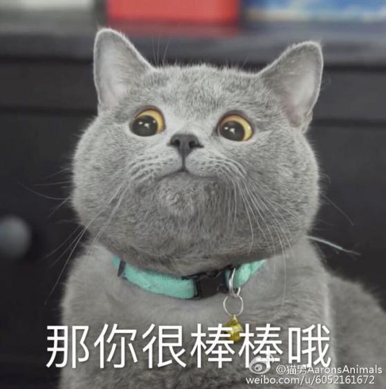 板绘零基础教程，板绘入门教程零基础临摹（你与大神就差拿起笔这一步）