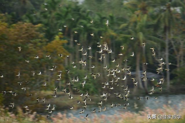 交节是什么意思，交节是什么意思啊（了解中国博大精深又务实的传统文化）