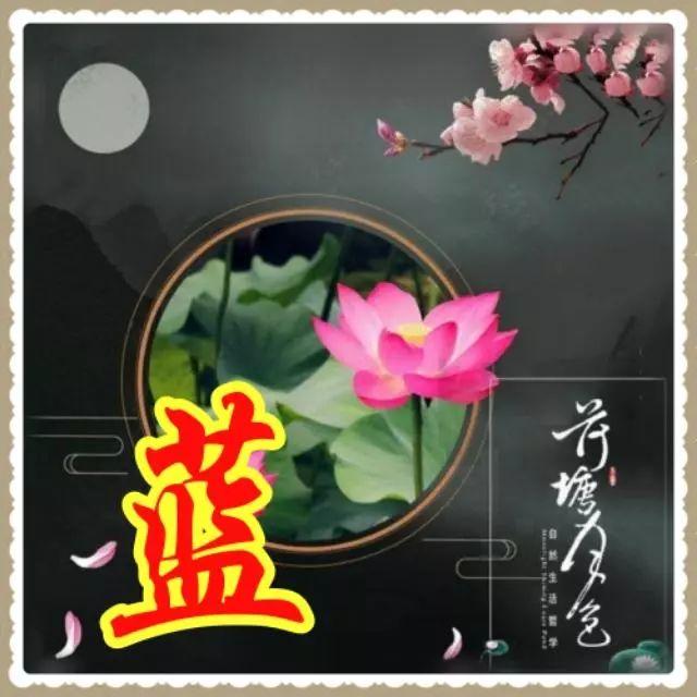 姓氏微信头像，姓氏头像（100张高清唯美的风景姓氏微信头像）