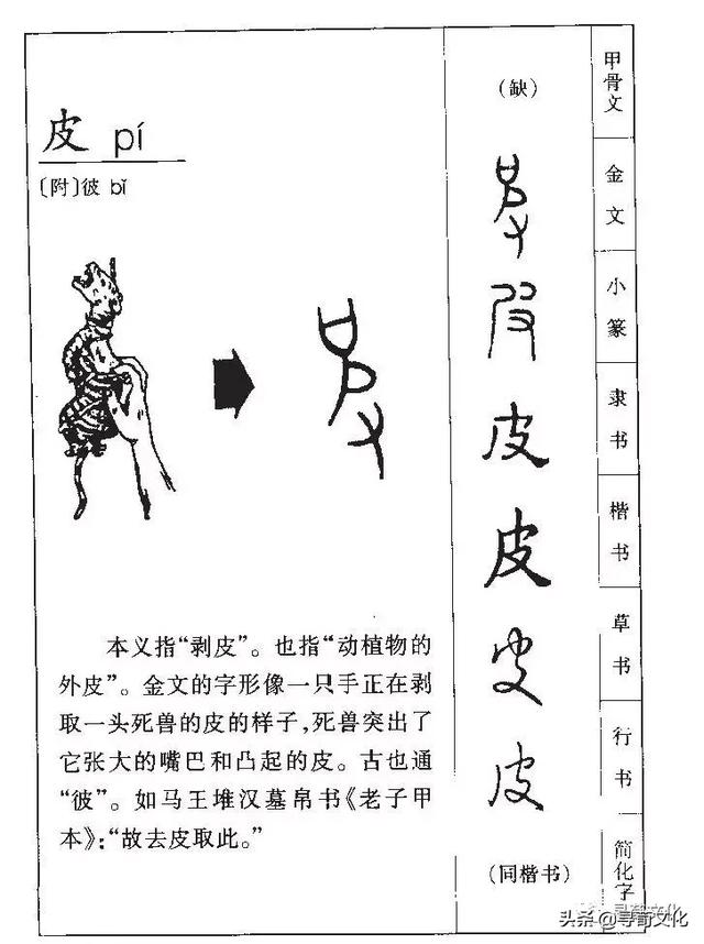 尤字五笔怎么打，尤什么意思解释（皮-汉字的艺术与中华姓氏文化荀卿庠整理）