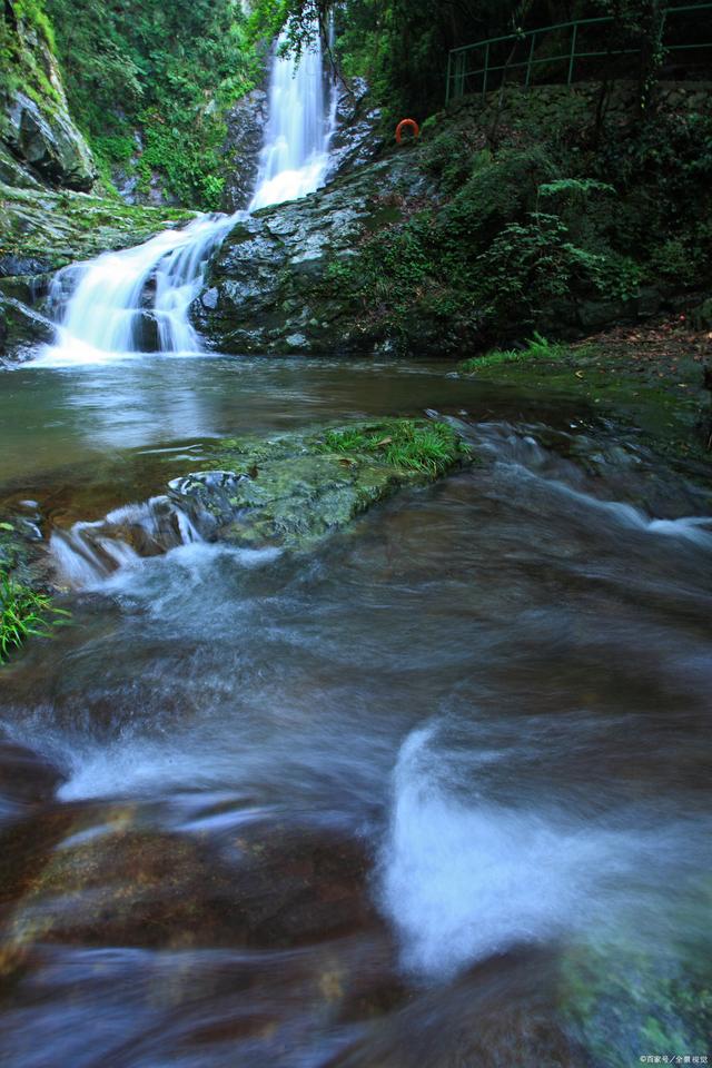 殃的意思解释，爽的意思是什么（20个炯炯有神新生儿名）