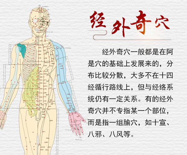 鱼腰的准确位置和作用，个个都是穴位学中的高手