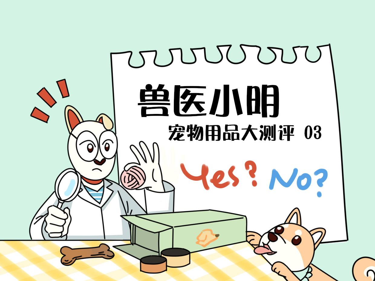 哪种猫砂最好用(国产十大最好猫砂)