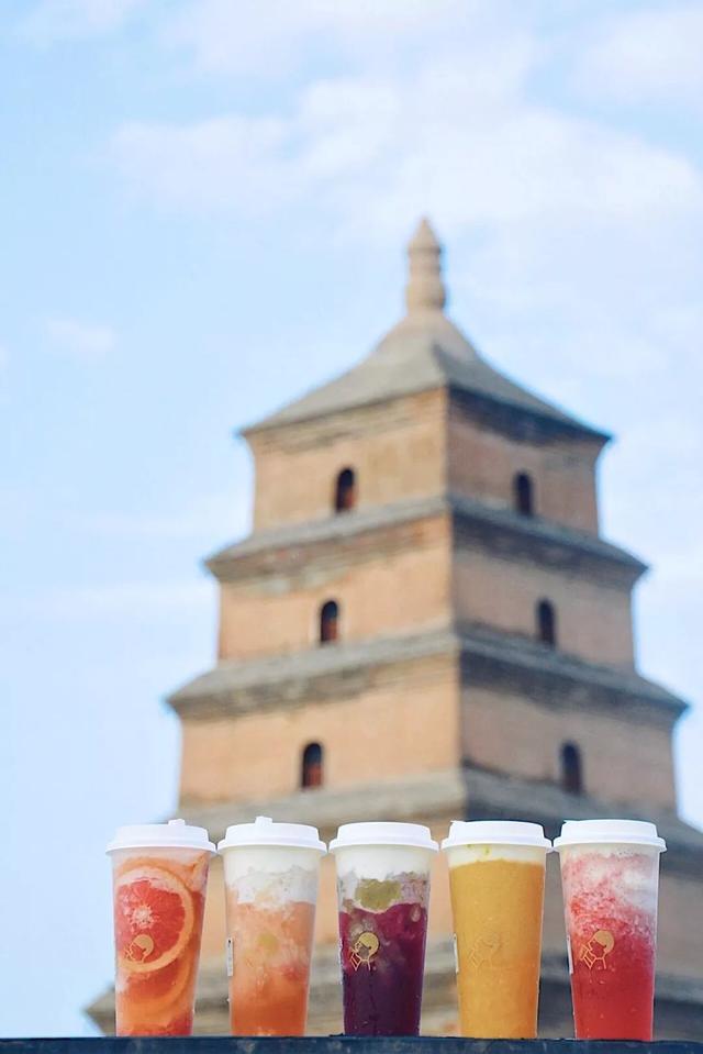 喜茶什么好喝的推荐，喜茶哪个口味最好喝（最好喝的都在这里）