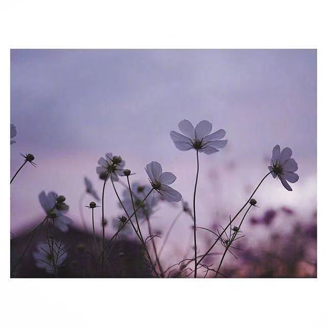 女生霸气高冷句子精选36句，高冷霸气的女生语录