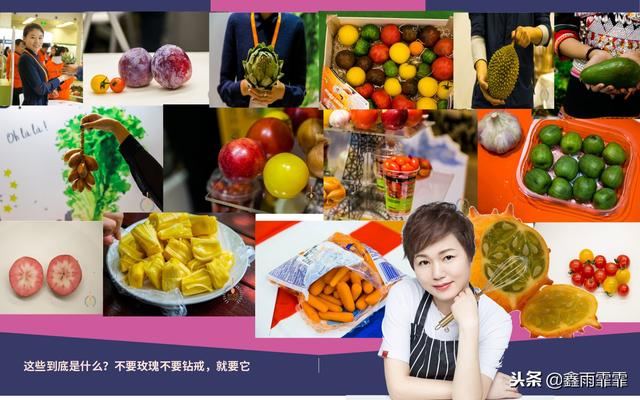 菊苣怎么读是什么意思，菊苣怎么读（这百种水果不要说吃过）