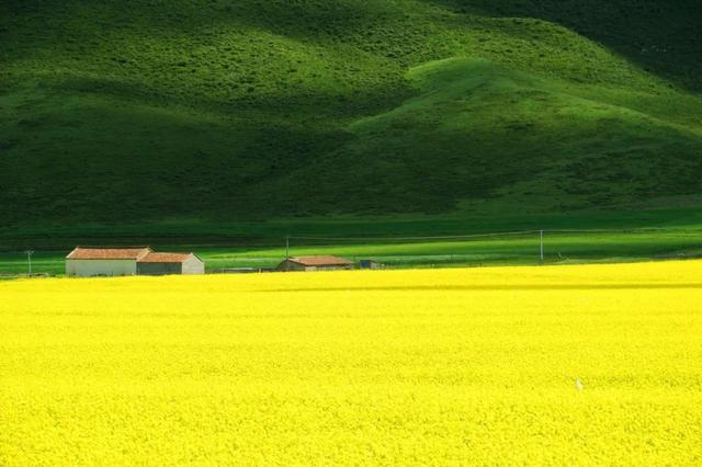 青海旅游景点排名前十，青海旅游景点排名前十自驾游地图（青海十大经典旅游景点）