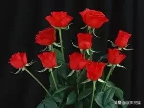 七月七日是情人节吗,每个月十四号都是什么情人节(今天是7月7日情人节) 七月七日是情人节吗,每个月十四号都是什么情人节(今天是7月7日情人节)