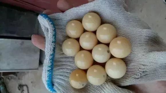 菩提根佛珠怎么养，菩提根佛珠怎样盘玩（菩提根的“盘玩大法”！）