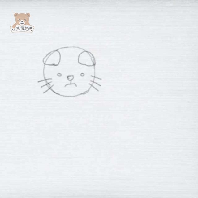 熊的简笔画怎么画，泰迪熊的简笔画怎么画（教你画一只小猫咪<详细步骤>）