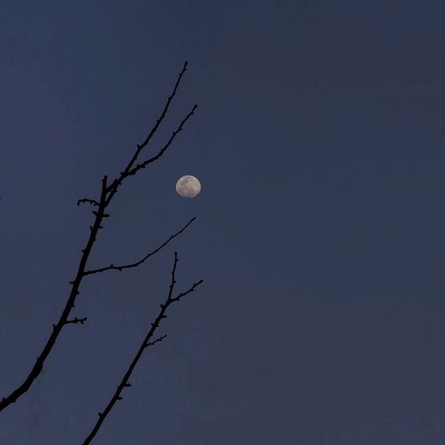 手机拍月亮参数，能拍月亮的手机有哪些（用手机这样拍出高级感创意月亮照片）