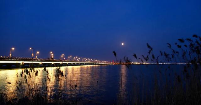 热爱家乡的名言，关于热爱家乡热爱祖国的名言（20句思乡心切的诗词）