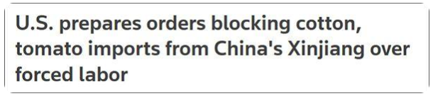 ngo是什么意思，ngo是什么意思网络用语（BCI哪儿来的勇气）