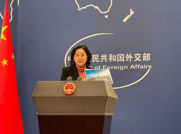 ngo是什么意思，ngo是什么意思网络用语（BCI哪儿来的勇气）