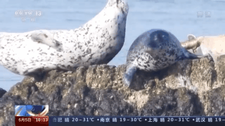 沈海高速从哪里开始到哪里结束，沈海高速全长多少公里（沿着高速看中国·沈海高速丨黄渤海分界线）
