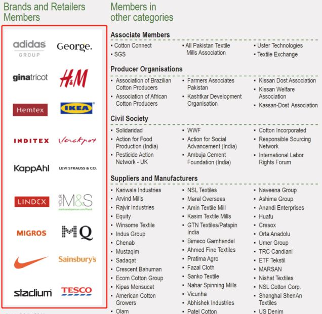 ngo是什么意思，ngo是什么意思网络用语（BCI哪儿来的勇气）