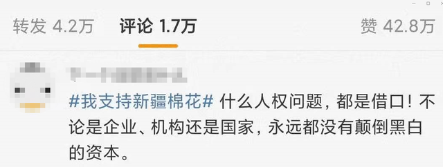 ngo是什么意思，ngo是什么意思网络用语（BCI哪儿来的勇气）