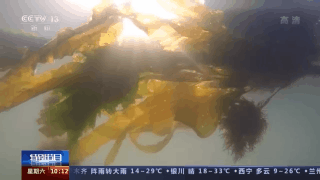 沈海高速从哪里开始到哪里结束，沈海高速全长多少公里（沿着高速看中国·沈海高速丨黄渤海分界线）